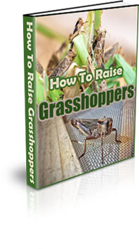 The Grasshopper Farming for Self Sufficiency eBook
