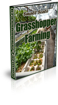 The Small Scale Grasshopper Farming eBook