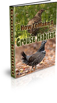 The How To Make A Grouse Habitat eBook