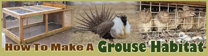 How To Make A Grouse Habitat