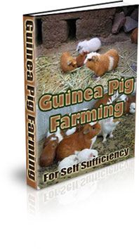 The Guinea Pig Farming For Self Sufficiency eBook