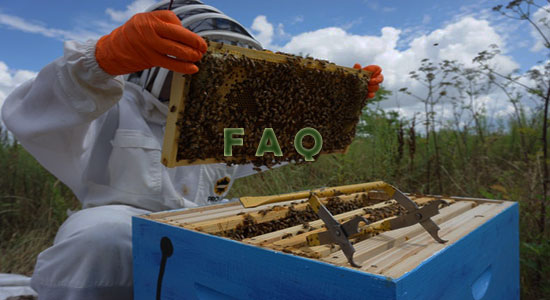 Raising Honey Bees Frequently Asked Questions