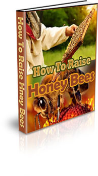 How To Raise Honey Bees