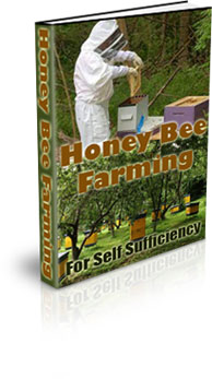 The Honey Bee Farming For Self Sufficiency eBook