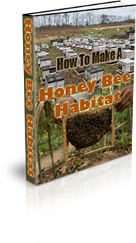 The How To Make A Honey Bee Habitat eBook