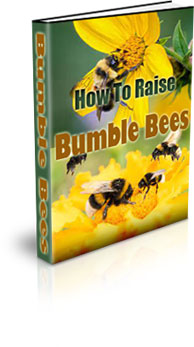The How To Raise Bumble Bees eBook