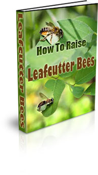 The How To Raise Leafcutter Bees eBook