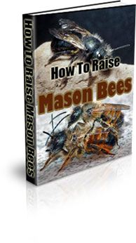 The How To Raise Mason Bees eBook