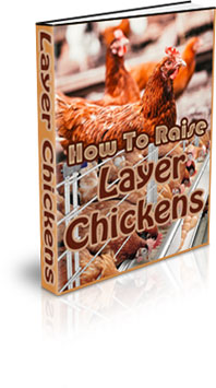 The Layer Chickens For Self Sufficiency eBook