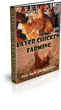 The Layer Chickens For Self Sufficiency eBook
