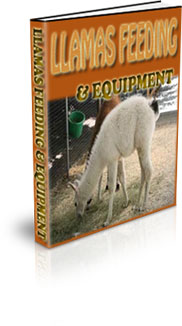 Llama Habitat Requirements