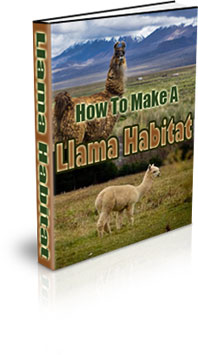 The How To Make A Llama Habitat eBook