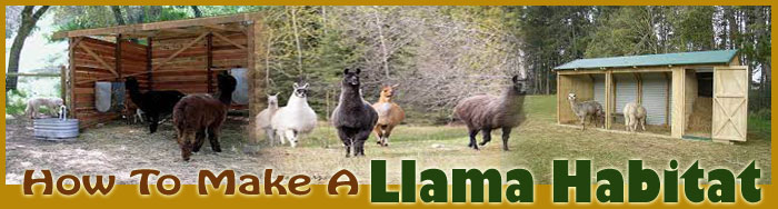 How To Make A Llama Habitat