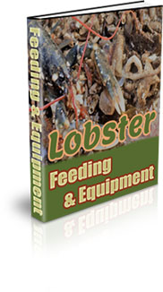 How To Make A Lobster Farm
