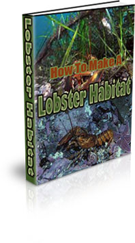 The How To Make A Lobster Habitat eBook