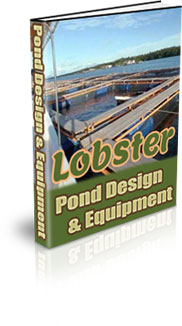 Lobster Farming For Meat