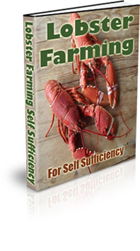 The Lobster Farming For Self Sufficiency eBook