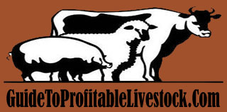 Profitable miniature horses