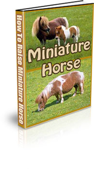 The How to raise miniature horses eBook