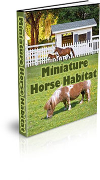 The How To Make A Miniature Horse Habitat eBook