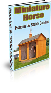 Habitat Of A Miniature Horse