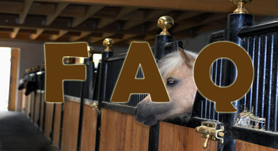 Raising Miniature Horses Frequently Asked Questions