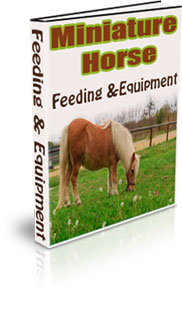 How To Train A Mini Horse