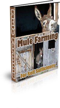 The Mule Farming For Self Sufficiency eBook