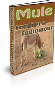How To Train A Mule