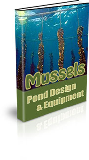 What Is The Habitat Of A Mussel?