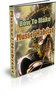 The How To Make A Mussel Habitat eBook