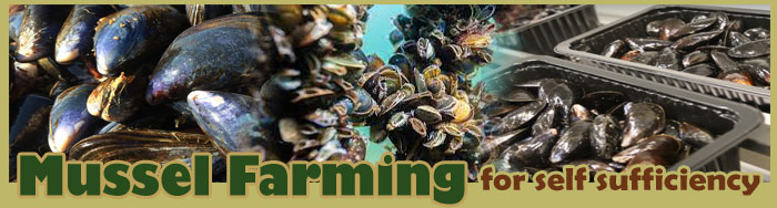 Mussel Farming For Self Sufficiency