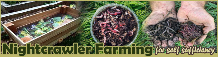 Nightcrawler Farming For Self Sufficiency