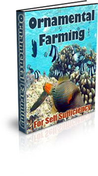 The Ornamental Fish Farming For Self Sufficiency eBook