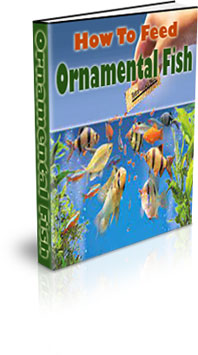 Ornamental Fish Rearing