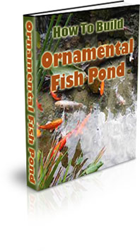 How To Farm Ornamental Fish