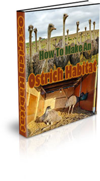 The How To Make An Ostrich Habitat eBook