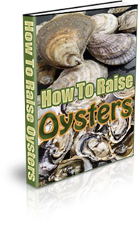 The How To Raise Oysters eBook