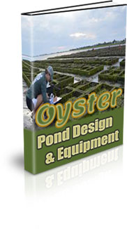 How To Get Into Oyster Farming