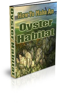 The How To Make An Oyster Habitat eBook