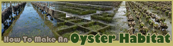 How To Make An Oyster Habitat