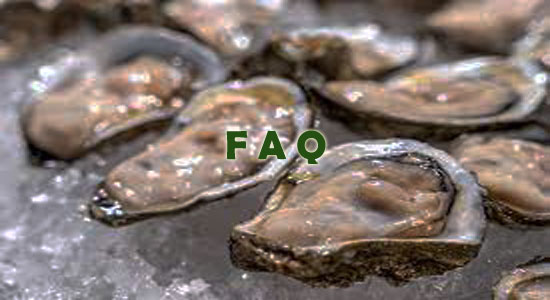 Raising Oysters Frequently Asked Questions