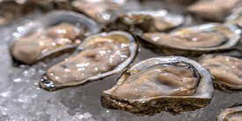 Small Scale Oyster Farming Frequently Asked Questions
