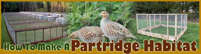 How To Make A Partridge Habitats