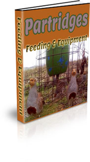 How To Farm Partridge