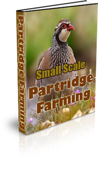 The Small Scale Partridge Farmings eBook