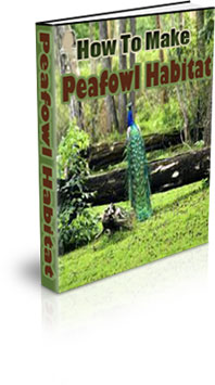 The How To Make A Peafowl Habitat eBook