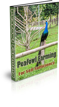 The Peafowl Farming For Self Sufficiency eBook