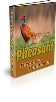 Habitat Of A Pheasant