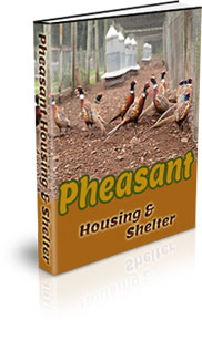 What Kind Of Habitat Do Pheasants Like
